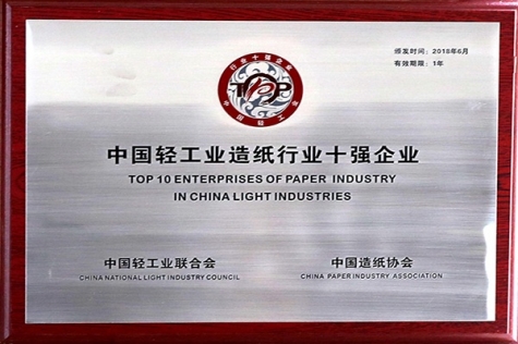 中國輕工業造紙行業十強企業